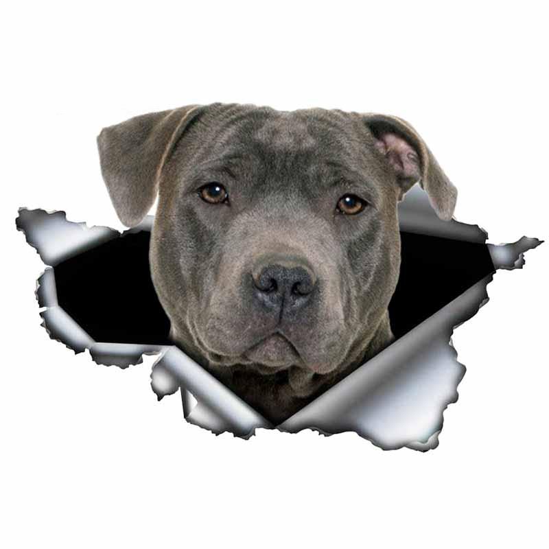 Aufkleber Blauer Pitbull Autoaufkleber Kreativer Zerrissener Metallaufkleber Wasserdichtes Autostyling Haustier Autodekoration