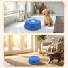 Anti-gulping Dog Bowl, Non-slip And for Wet Litter, Ideal Cats.