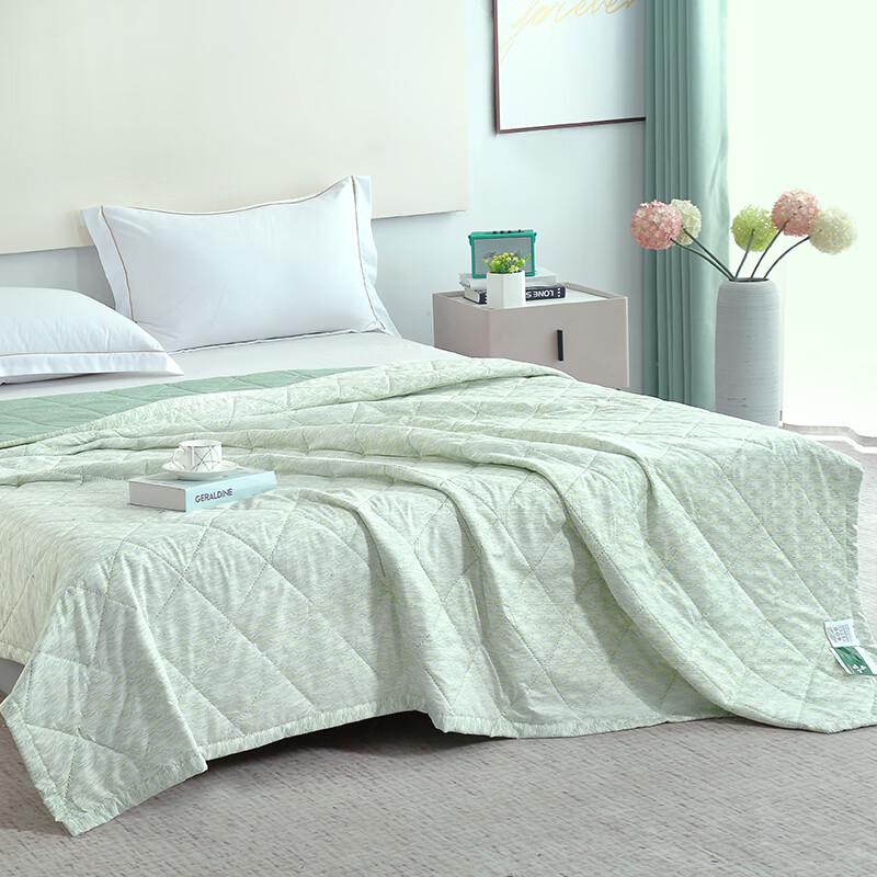 Mugwort Aromatic Antibacterial Summer Quilt