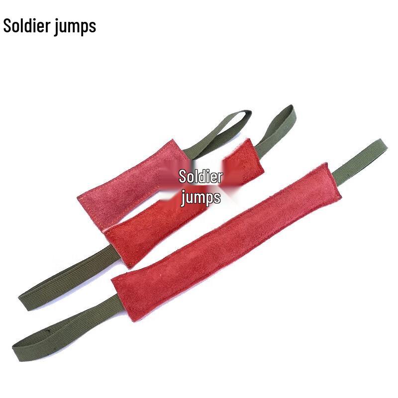 Bingyue Leather Dog Bite Training Stick