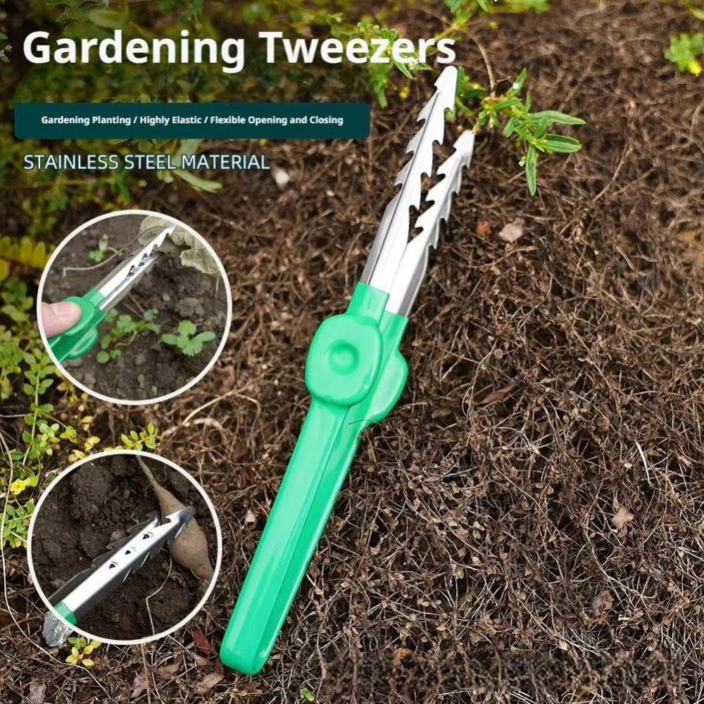 Stainless Steel Succulent Transplant Clip Multifunctional Plant Care Clip Daily Gardening