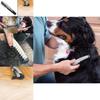 Premium Quality Electric Pet Grooming Flea Comb For Effortless Grooming Of Dogs And Cats