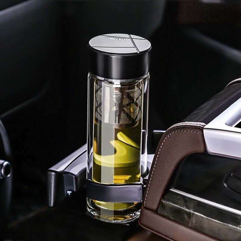 Thermos Double Wall Borosilicate Glass Tea Infuser Bottle