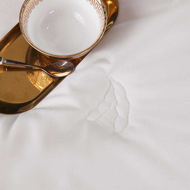 Soybean Fiber Antibacterial Winter Duvet