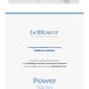 Bellflower - Panthenol 30% Serum