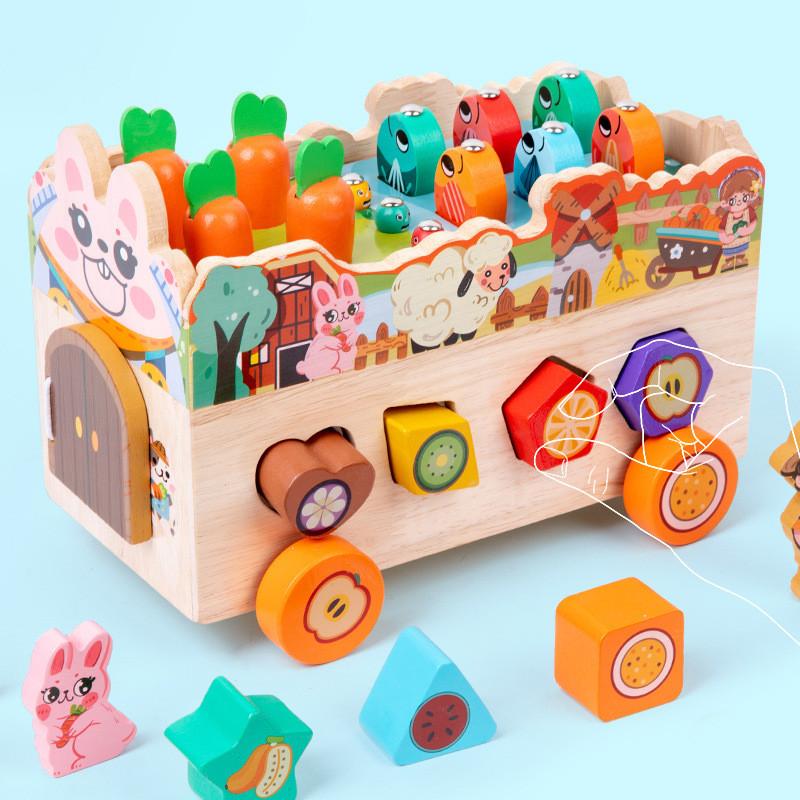 Farm Themed Animal Wooden Brain Teaser Puzzle For Preschool Games Educational