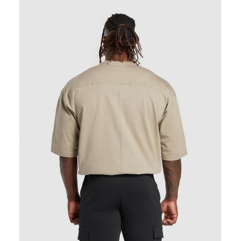 Gymshark Premium Lifting T SHIRT Sand Brown A5a5s Nbzs