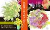 Coloring Coloring Book of Flowers and Flower Meanings Bouquets Wreaths Edition Adult Coloring Book Home Time [Includes Sample!] - & - (U-CAN Series)
