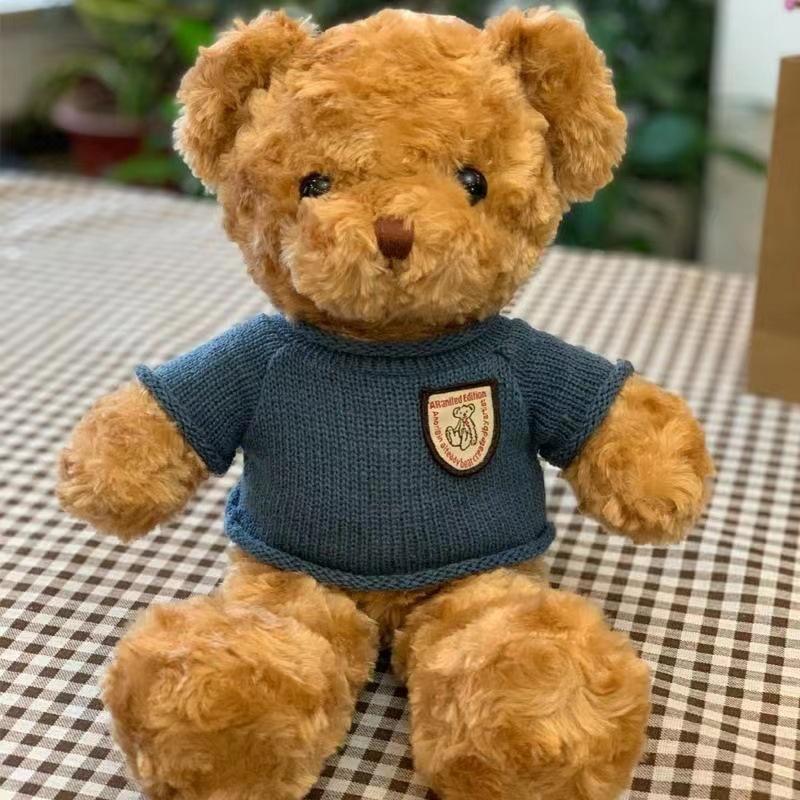 Sweater Bear Doll Birthday Gift Teddy Bear Plush Toy Doll