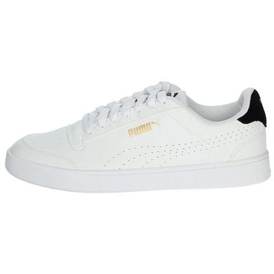 Shuffle Perf Lace-Up Supportive Balanced Lightweight Low-Top Skate Shoes Men Sneakers White Black 380150-01