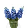 Hill Interiors Hyacinth Stem Artificial Plant
