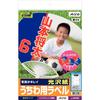 A-One Handmade Fan Label Glossy Paper 8 Sheets 38906