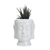 Ceramic Succulent Flower Pot White, Simple Desktop Creative Green Plant Buddha Flower Ornament White