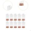 10er-Pack Glas-Display-Glocken für die Präsentation von Sammlerstücken