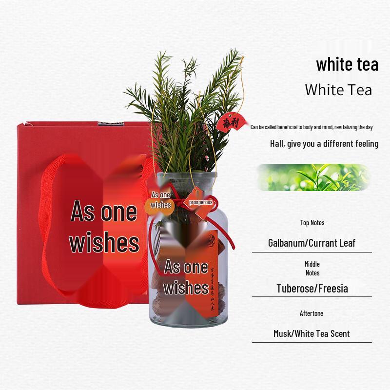 Miao Yijia Prosperity Bottle Aroma Diffuser Gift