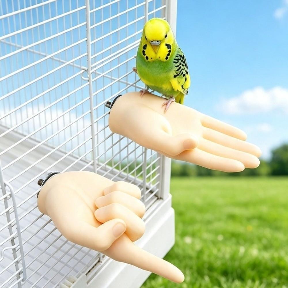 Washable Hand-Shaped Parrot Perch Desensitization and Step-Up Training Stand  Interactive Play