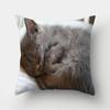 Cute Cat Print Decorative Cushion Pillowcase  Cover Pillow Sofa Living Room