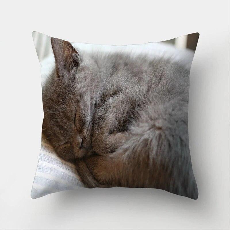 Cute Cat Print Decorative Cushion Pillowcase  Cover Pillow Sofa Living Room