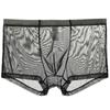 Low-waist Men's Underwear Bulge Ice Silk Lingerie Intimates See Through Underpants Sexy Briefs Ultra-thin Translucent