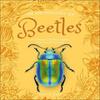 An Anthology of Beetles by Richard Jones Hardback Book 9780241725306