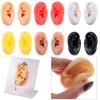 Silicone Piercing Model Body Jewelry Earrings Display Stand  Medical Teaching Props