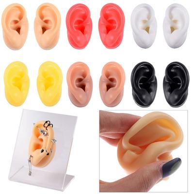 Silicone Piercing Model Reuseable Ear Stud Display Tools  Medical Teaching Props