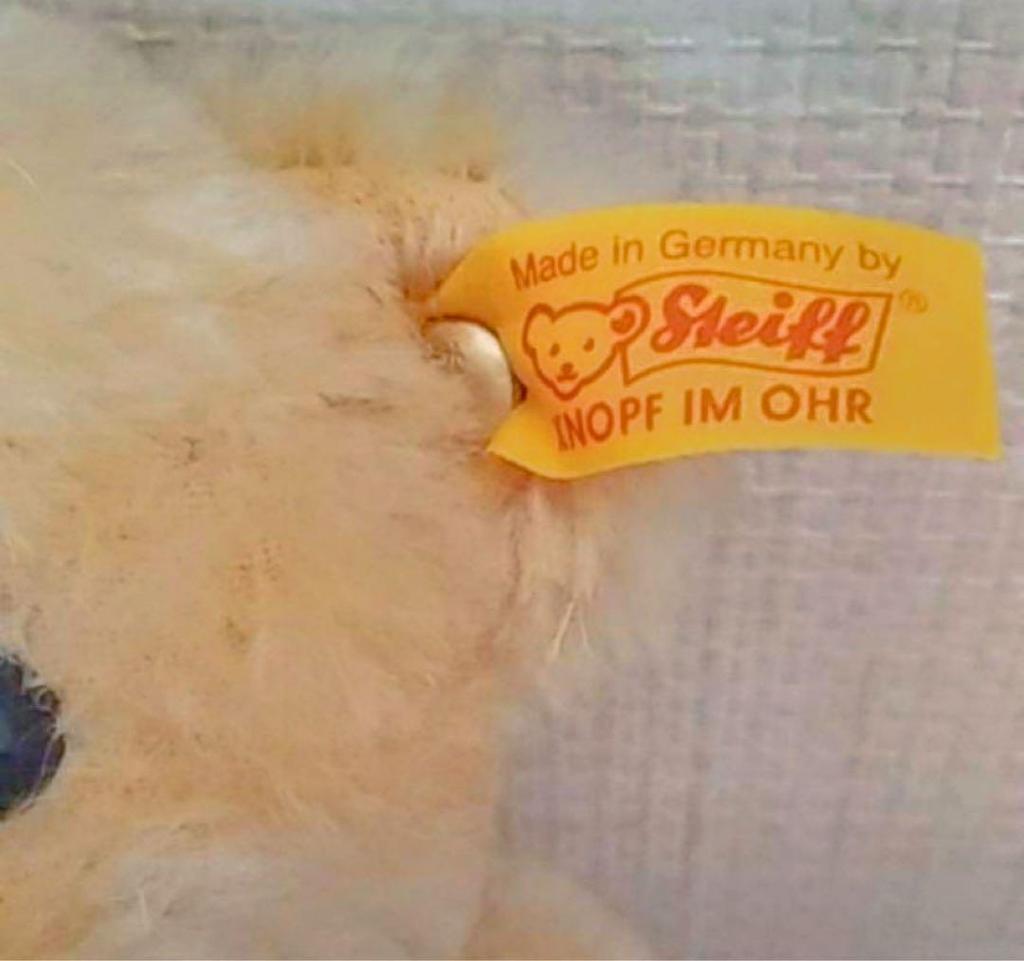 [USED] Steiff Classic Teddy Bear
