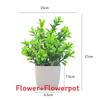 Plastový eukalyptus magnólie v květináči bonsaj pro vnitřní dárkovou dekoraci