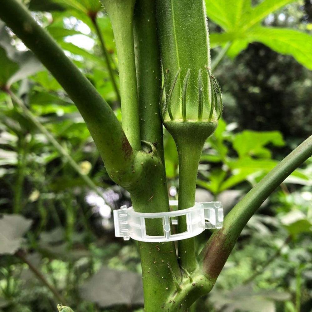 

Garden Plastic Reusable Vegetable Protection Vine Connectors Flower Holder Plant Support Clips