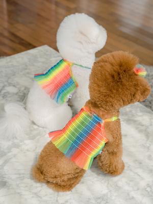 SALTYHEARTY Hello Crop Blouse NEON RAINBOW