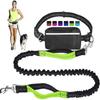Hands-Free Bungee Dog Leash for Running & Walking - Dual Shock Absorbing, Adjustable Waist Belt, Reflective Stitching, 3 Stainless Steel D-Rings