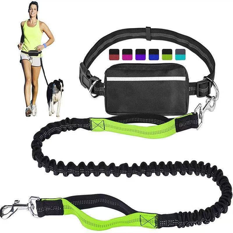 Hands-Free Bungee Dog Leash for Running & Walking - Dual Shock Absorbing, Adjustable Waist Belt, Reflective Stitching, 3 Stainless Steel D-Rings