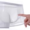 Men's Underwear Transparent Boxers Bulge Ice Silk See Through Underpants Sexy Briefs Low Waist Panties Lingerie Intimates