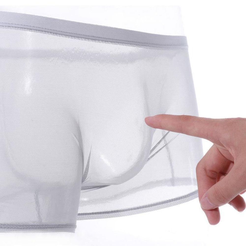 Sexy Briefs Transparent Boxers Low-waist Gauze Male Panties Fashion Men's Underwear