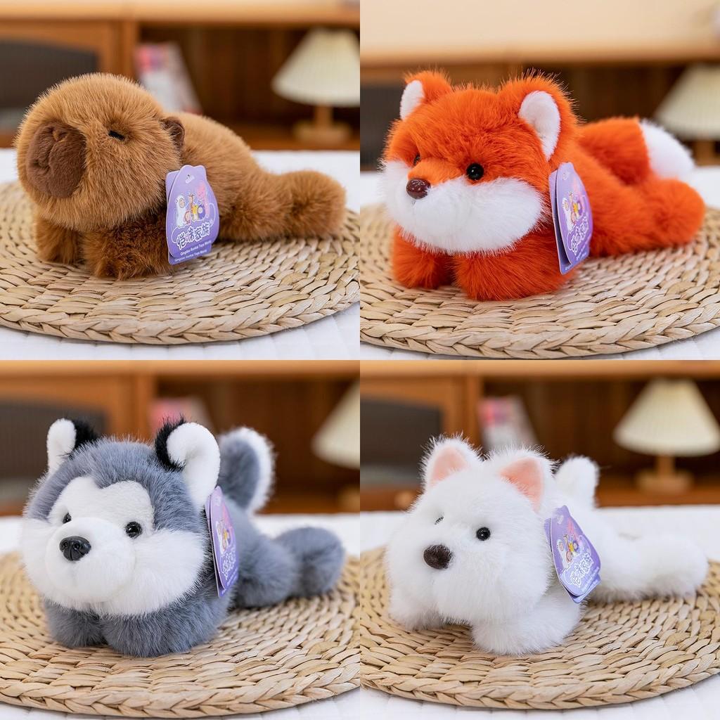 Sloth Capybara Husky Fox Raccoon Animal Plush Toy Doll Kids Room Gift Decoration