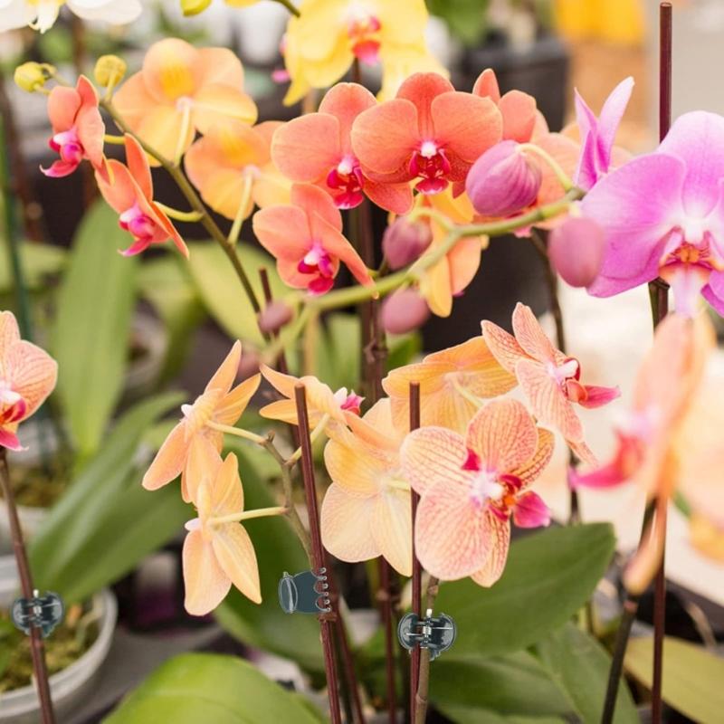 Garden Plant Orchid Clips 100Pcs Plant Clips Green Plant Orchid Support Clips Garden Orchid Clips For Supporting