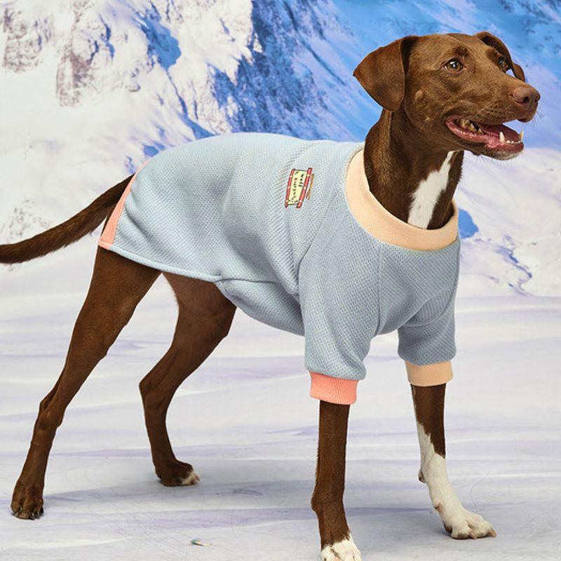 MUNIKUND Wuff Pullover - Blue
