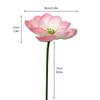 Romantic Artificial Lotus Handmade Fake Lotus Branch Simulation Lotus Leaf  Balcony