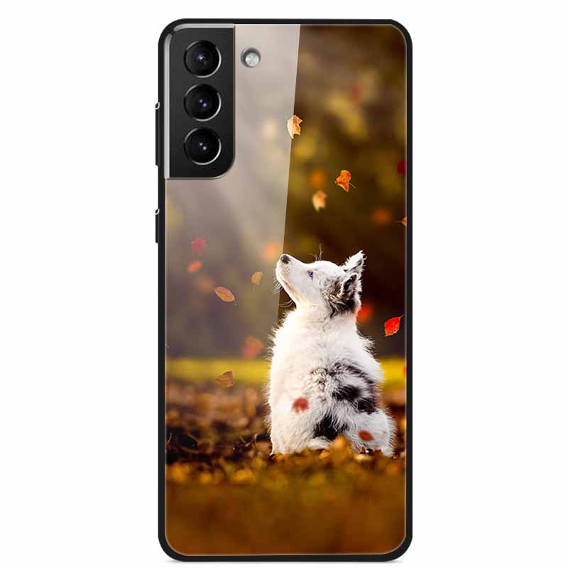 For Samsung S22 5G Cases S22Plus S22Ultra 5G Tempered Glass Hard Back Cover for Samsung Galaxy S22 Plus Case S22Ultra S22+ Cover
