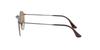 Sunglasses 0RB3447N ROUND METAL CLEAR GRADIENT BROWN 53 Ray-Ban 004/51
