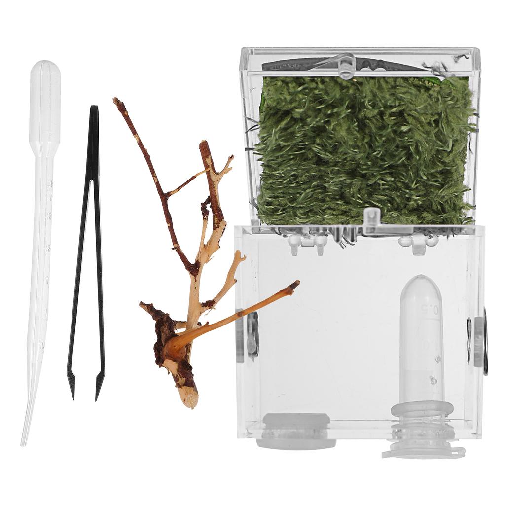 Small Reptile Breeding Box with Dropper and Forceps Pet Terrarium Transparent Acrylic Cage Insect Jumping Spider Feeding Box