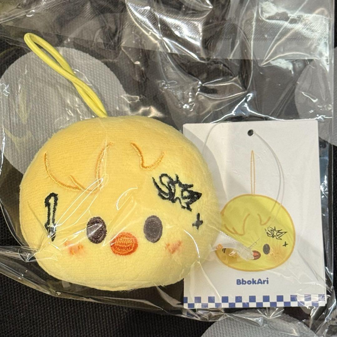 

[USED] Straykids karma popup name tag Pogari