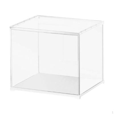 Display Case Showcase Transparent Practical Simple Versatile Storage Organizer Figure