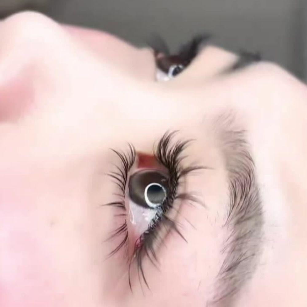 Tower Top False Eyelashes 12 Rows Premade Fan Lashes Natural Eyelashes Extensions  Women
