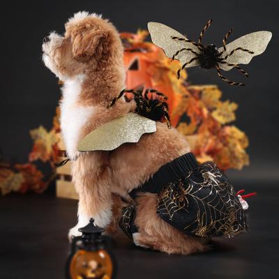 Fantasia de Halloween para Cão Roupas para Animais de Estimação Forma de Aranha Divertida Roupa de Cachorrinho Cosplay de Animal de Estimação Roupa com Asas de Aranha Festa Vestuário de Natal Conjuntos para Cães