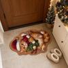 Irregular Shape Entryway Rug Cat Dog Decor Door Mat Hallway Entrance Mat  Front Door Hallway