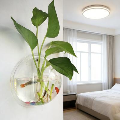 Wall Mounted Fish Tank Vase Transparent Acrylic Material 15cm  Diameter Air Flower Pot Home Living Room Bedroom Decoration