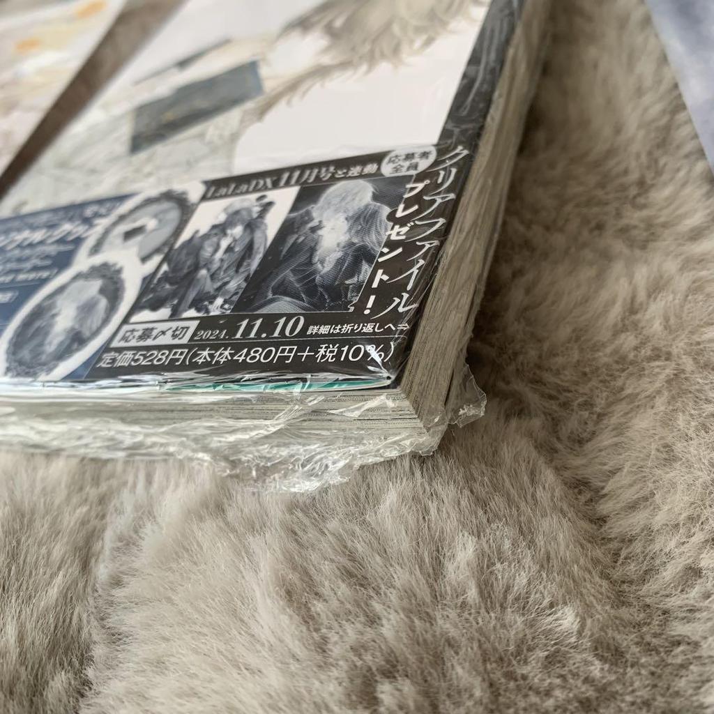 [USED] Vampire Knight Memories Volume 10 with Melon Books bonus illustration card