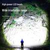 Rechargeable Ultra-Bright Magnetic LED Work Light with Digital Display
