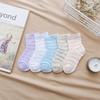 5 Pairs of Spring and Summer Children's Love Net Eye Tube Socks